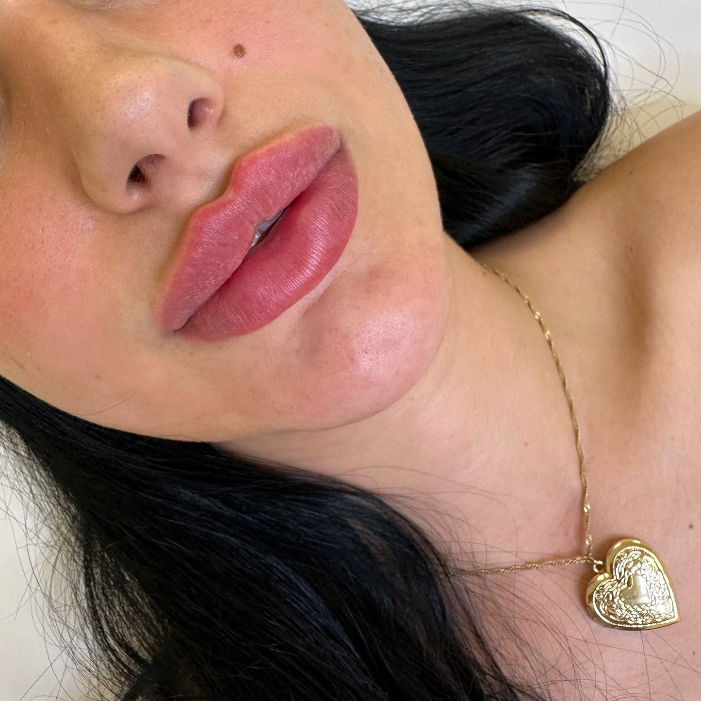 Russian Lips Expert Masterclass – 23.01.2026